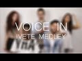 Voice in  ivete sangalo medley a cappella cover