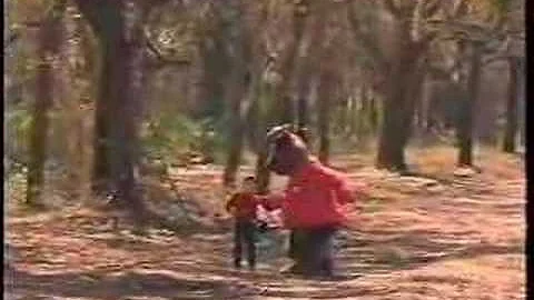 A&W Commercial (1992)