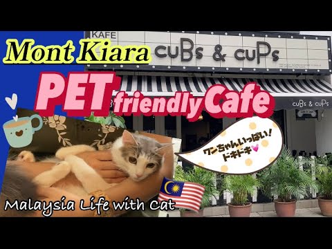 【Malaysia Mont Kiara】日本人に人気の街！ペットフレンドリーカフェに行ったら犬に大歓迎された猫 〜森猫おはぎの遊雅な日常〜 #猫と海外移住 #MalaysiaCafe #モントキアラ