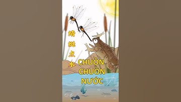 Chuồn chuồn nước sinh sản ntn #khuvuonthichbuonchuyen #hoathinhvuinhon #funny #chuonchuon #shorts
