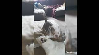 Lets Hug With Sound Effects