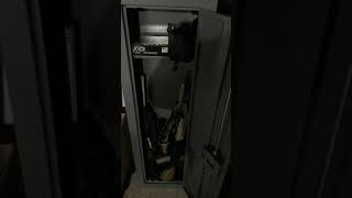 small gun box from cabelas 3-4 guns gray (8 guns cabinet)