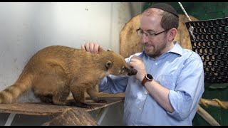 &quot;To Touch And To See&quot; - The Biblical Museum of Natural History&#39;s music video!