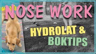 NOSE WORK - HYDROLAT OCH BOKTIPS