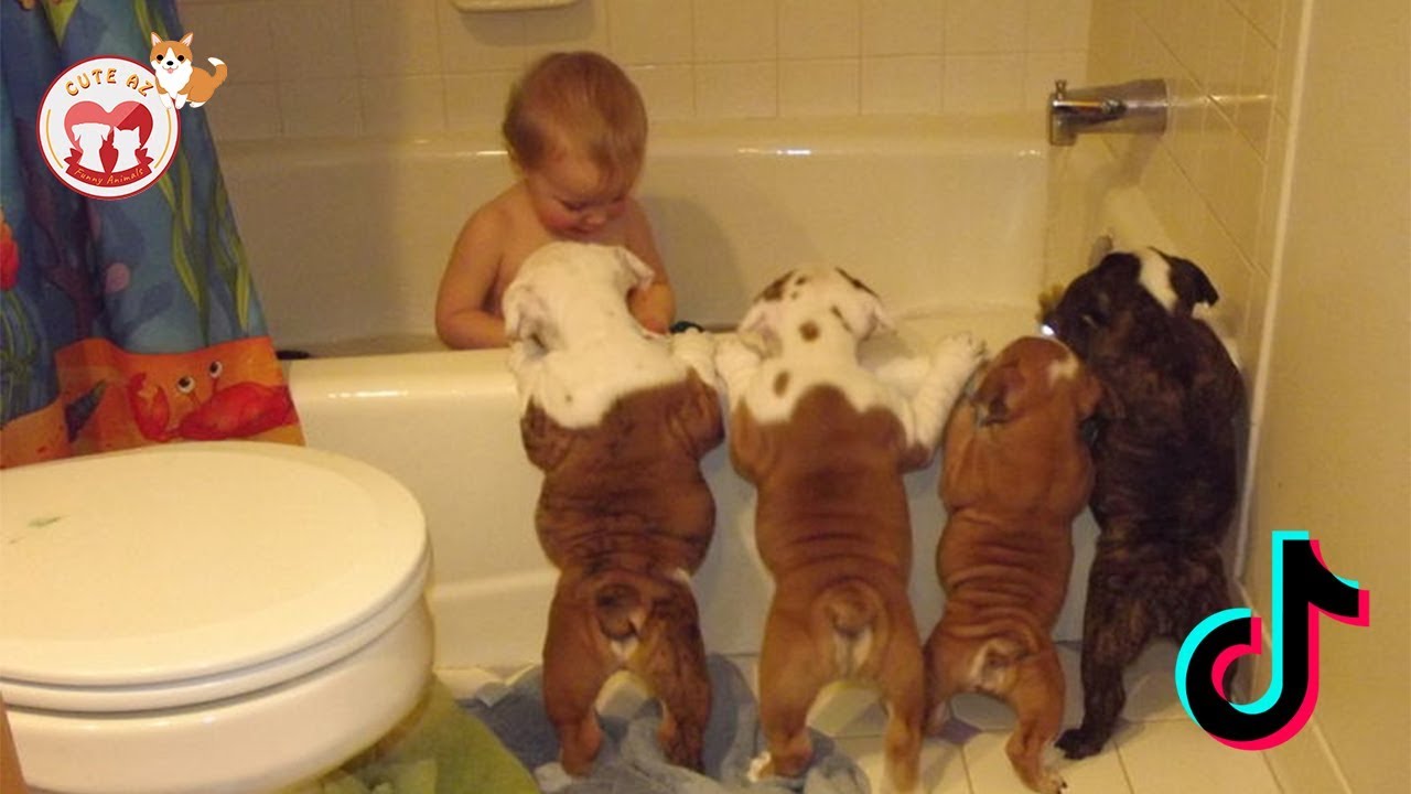 Включи смешное видео 3. Смешные дети и животные. Смешные малыши в ванной с животными. Собаки и дети приколы. Юмор с животными и детьми.