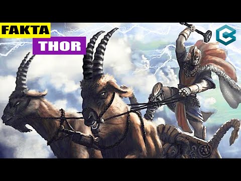 PALU THOR TERNYATA