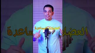 بلاش تلعب تمرين اكتاف تاني يوم صدر #عاطف_صلاح