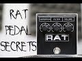 Let’s talk about the Rat Distortion pedal...Is it voodoo or sorcery?