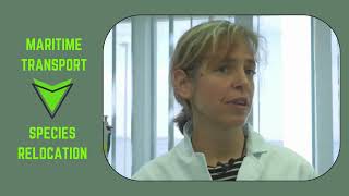 🔬🌊 IGNITE Project | Understanding Marine Biofouling