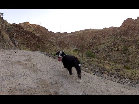 Stella's First Time up Telegraph Pass