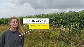 Living Legacies | Episode 2 – Water