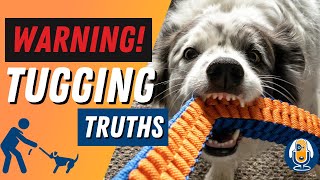 Why Dogs Should Not Tug: The Truth Revealed #89