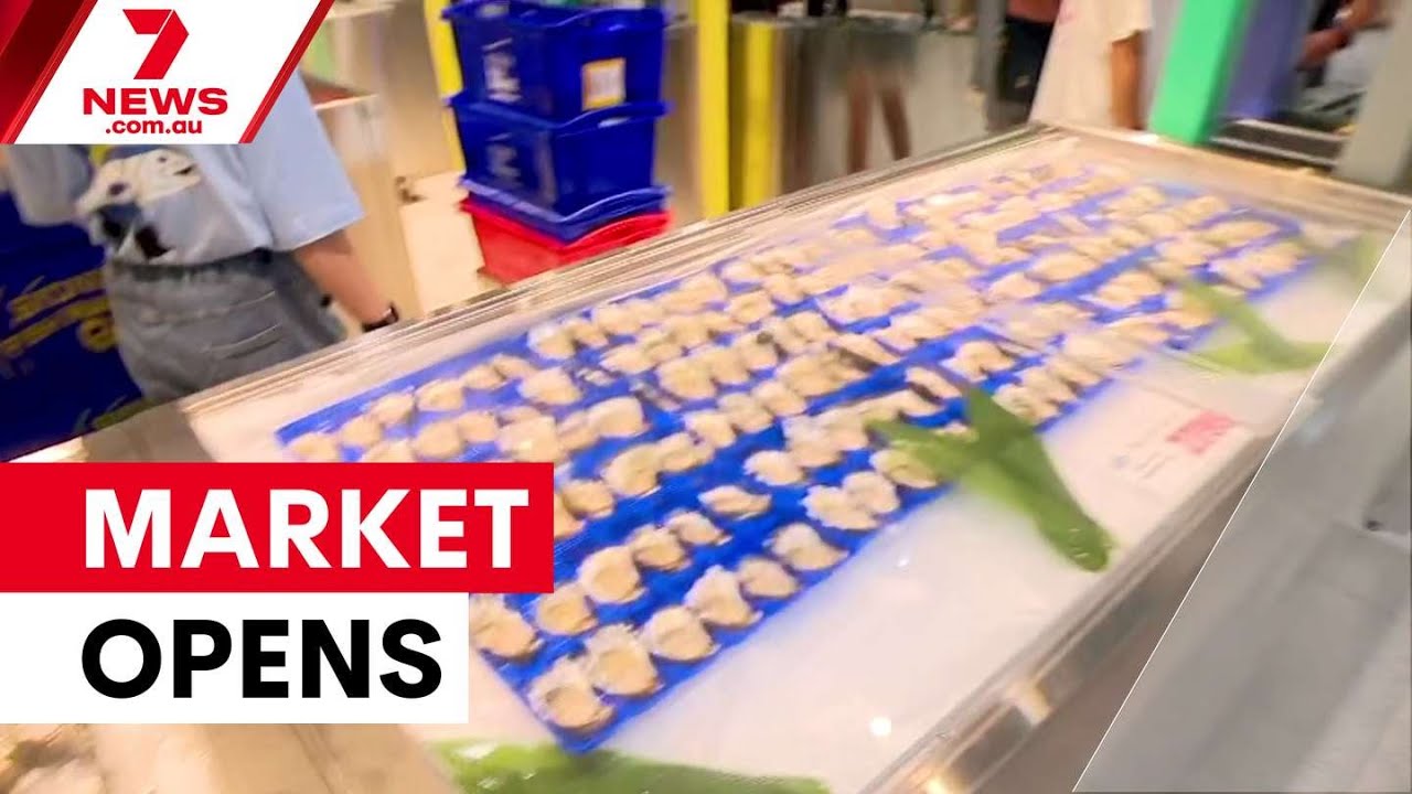 Sydney's new $800m fish market finally opens | 7NEWS