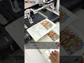 Digital Printer for Pet Food Bags | Single Pass Printer for Direct Full-color Batch Printing