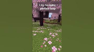 #perfectloop #funny #memes #minecraft