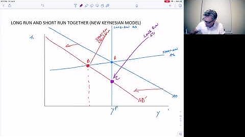 THE NEW KEYNESIAN MODEL