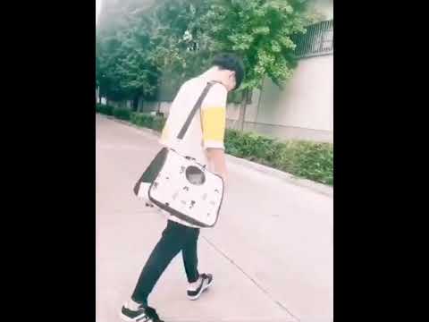 Túi vận chuyển chó mèo giá rẻ