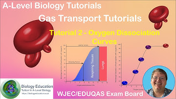 Tutorial 2.  Oxygen Dissociation Curves.  AS Biology WJEC EDUQAS.