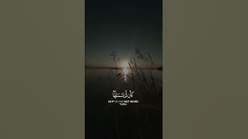 تلاوه خاشعه بصوت ياسر الدوسري سورة الجاثيه❤️🌿القرأن #الكريم#