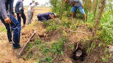 Cả Nhóm Tôi Quá Vui Sướng Trước Con Rắn Cực kỳ To Lớn | TGSB # 317