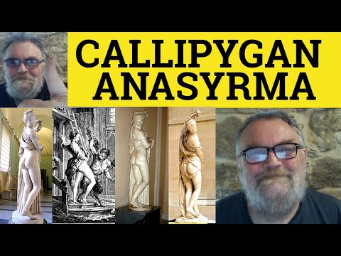 Video: Wat is de betekenis van callipygian?