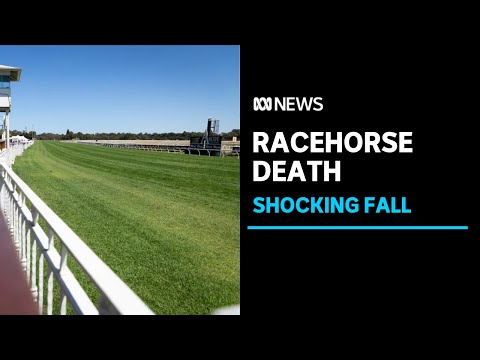 Horse's death in horror Perth Cup fall sparks renewed racing scrutiny | ABC News
