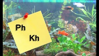 Ph и Kh/Всегда ли нужен яркий свет в аквариуме?