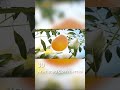 3D Animated Commercial | Null Station