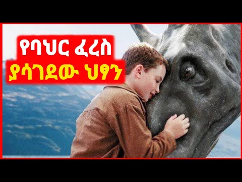 ቪዲዮ: በማዕድን ውስጥ መቆለፊያ ያለው በር እንዴት እንደሚሠራ -12 ደረጃዎች