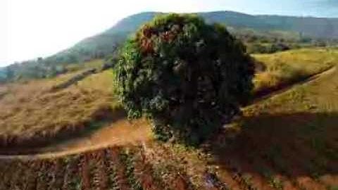 Shrediquette Hexacopter Spider MM6 in Cameroon