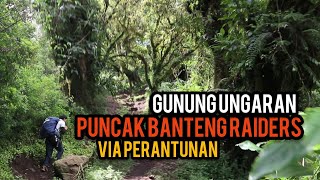 Puncak Banteng Raiders Gunung Ungaran Via Perantunan