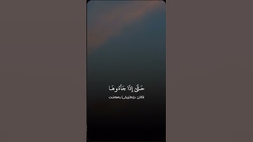 #اكتب_شي_تؤجر_عليه #تلاوة_خاشعة #تصويري #قرآن #راحة_نفسية #قران_كريم
