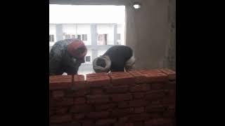 construction work in my site work
