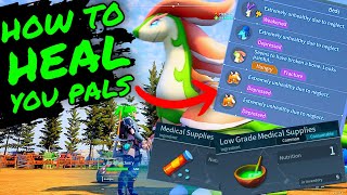 How To HEAL And CURE YOUR PALS IN PALWORLD!!! How To Make Them WORK FASTER! Palworld Tips and Tricks