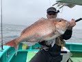 2020 6 4（木曜日）茨城県 鹿島港 植田丸 ひとつテンヤ真鯛釣り特鯛浮上