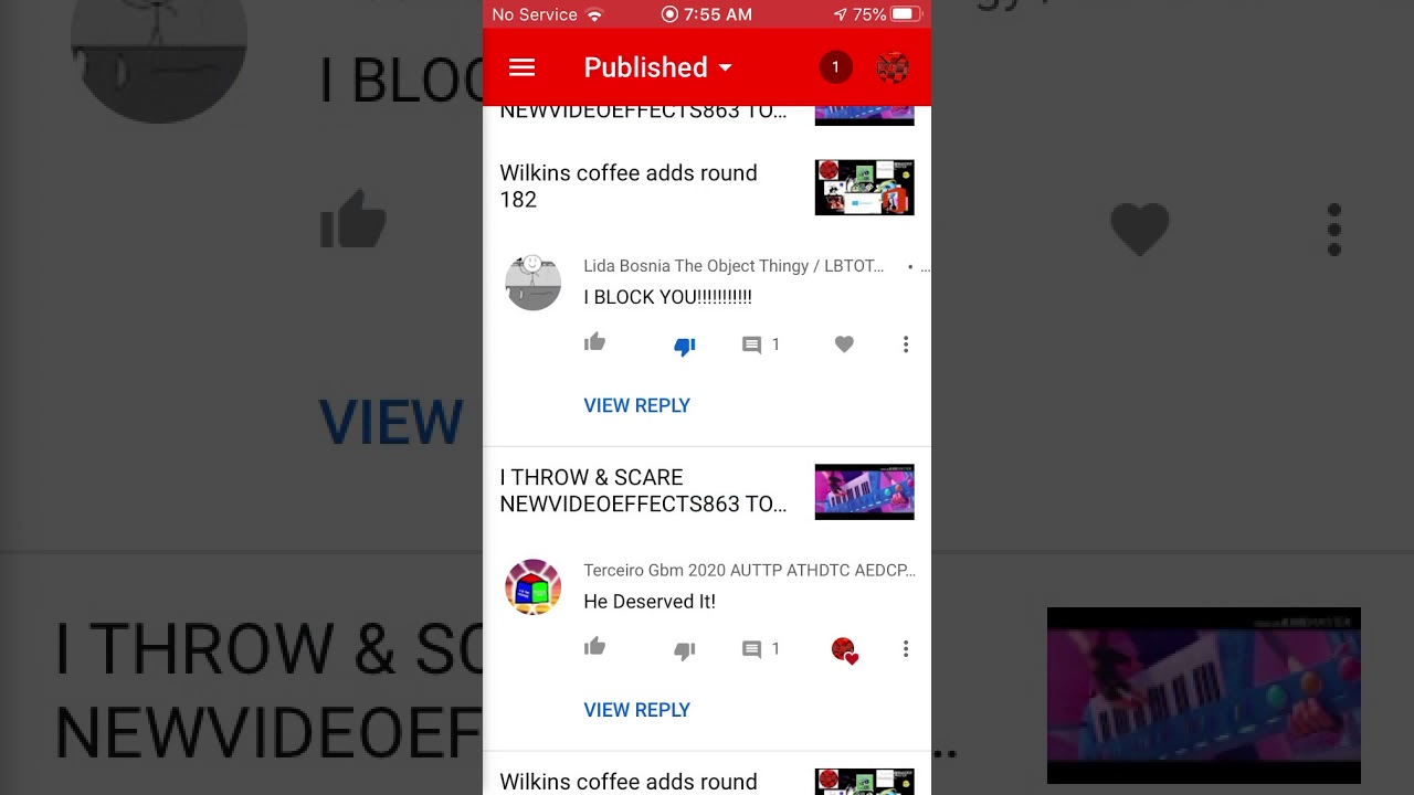 I HAVE REMOVED LIDA’S COMMENTS - LIDA IF YOU BULLY ME ONE MORE TIME, I WILL BLOCK YOU, AND I WILL MAKE A RANT OUT OF YOU
