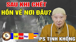 Top 10+ sau khi chết con người như thế nào tốt nhất, bạn nên biết