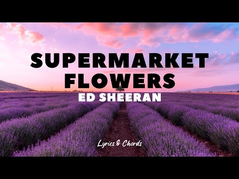 Supermarket Flowers - Ed Sheeran - Lyrics and Chords