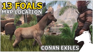 13 Foals Map Locations | CONAN EXILES