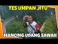 mancing udang di sungai kecil pinggir desa sambil santai menikmati suasana sore hari