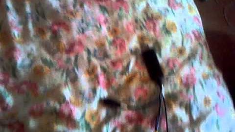 How to setup EasyCAP with splitters