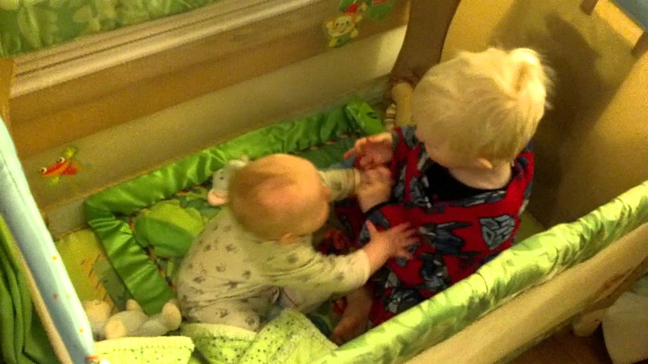 First brother playtime with both participating YouTube
