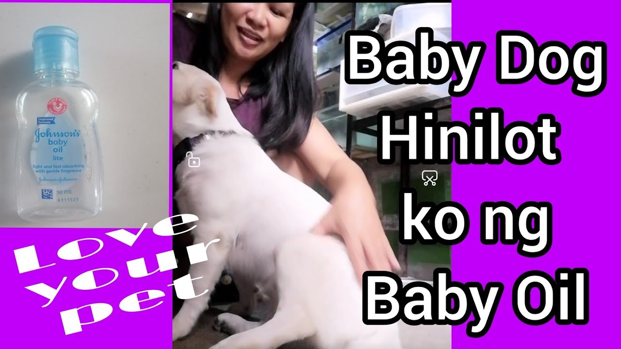 Baby Dog Hinilot Ko Ng Baby Oil  Part 1 #Loveyourpet