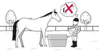 How to treat laminitis for your horse?