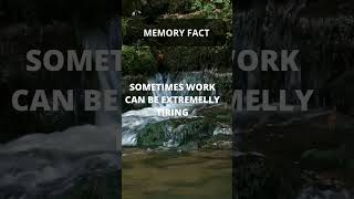 Don't Overwork Yourself