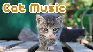 EXTENDED Cat Music  15 Hours of the BEST Cat Music