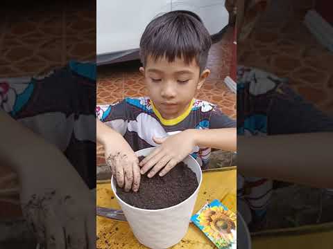 Video: Pegangan Pokok