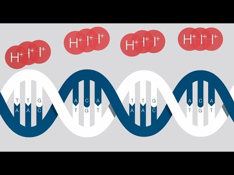 Ion Torrent Next-generation Sequencing