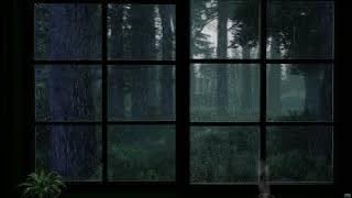 Rain On Window & Thunder Sounds - Rainy Afternoon Forest - 8 Hours Relaxation & Sleep | rain sounds