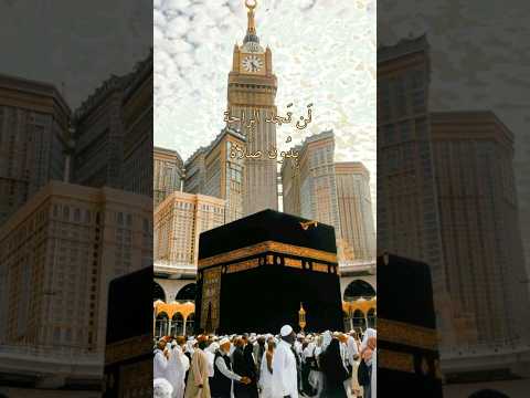 سورة الرعد الآية 28 قرآن Quran راحة نفسية